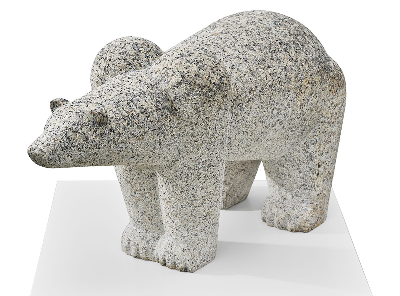Eisbär - Grönland den Eisbären